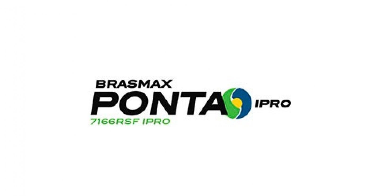 BRASMAX PONTA