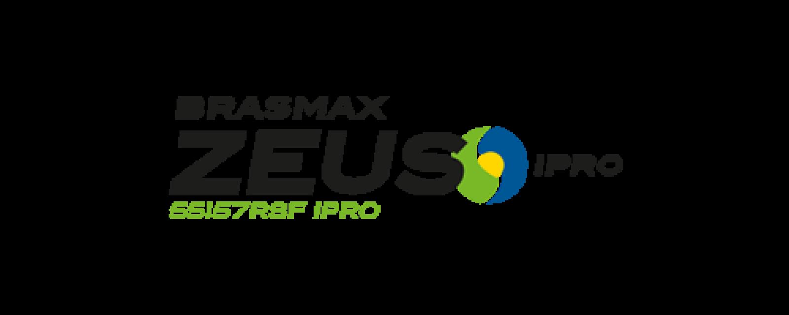 BRASMAX ZEUS