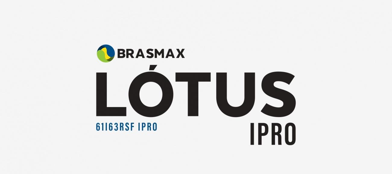  BMX  LÓTUS 