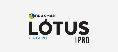  BMX  LÓTUS 
